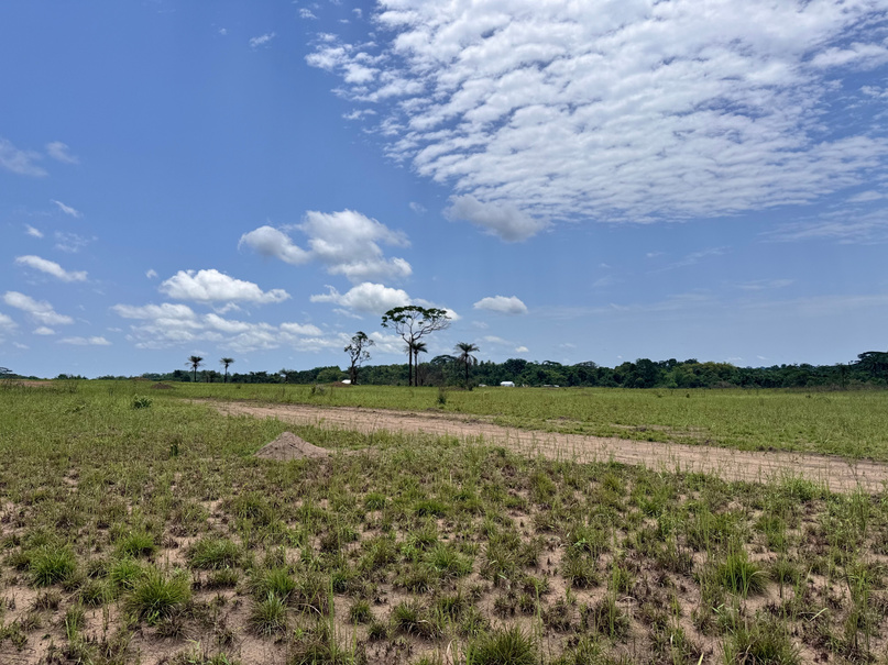 Open land at MNC Farms, from the farm flyer